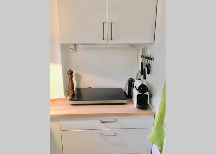 The Heart Of Copenhagen-queen's Neighbor *